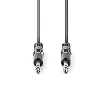  Balanced Audio Cable | 6 Male , 35mm - 6.35mm Male | 1.5m | Gray 