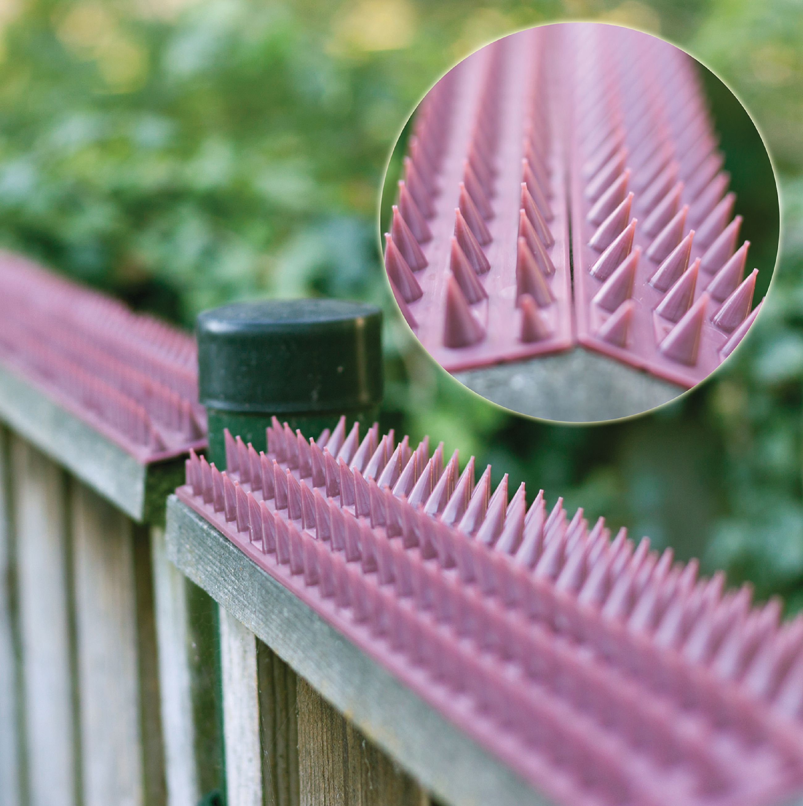 Anti Climb Spikes Fence Wall Security Spikes Bird Cat Repellent Prickle