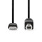 USB-kabel | USB 2.0 | USB-C™ Hann | USB-B Han | 480 Mbps | Nikkel belagt | 2.00 m | Rund | PVC | Sort | Boks