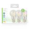 Ampoule LED filament E27 | A60 | 8 W | 1055 lm | 2700 K | Blanc Chaud | 3 pièces